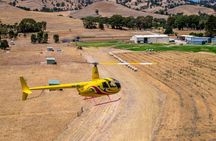 Southern Barossa & Reservoirs: 15 Minute Scenic Flight