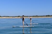 Thessaloniki Stand Up Paddling Adventure