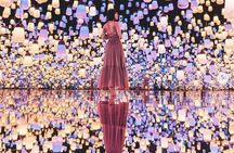 Discover Abu Dhbai | Private SZG Mosque, TeamLab & Top Attraction