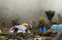 8 Day Mountain Kilimanjaro Climb via Lemosho Route