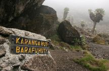 8 Day Mountain Kilimanjaro Climb via Lemosho Route