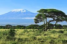7 Day Mount Kilimanjaro Climb via Lemosho Route