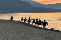 Horseback riding on the beach of Castellammare del Golfo
