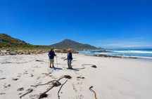 Hiking Cape of Good hope, Cape Point & Penguins Private Full Day