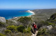 Hiking Cape of Good hope, Cape Point & Penguins Private Full Day