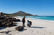 Hiking Cape of Good hope, Cape Point & Penguins Private Full Day
