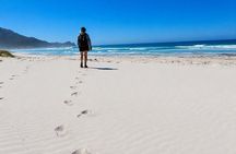 Hiking Cape of Good Hope & Cape Point Private Full Day Tour