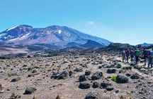 6 days Kilimanjaro Climb Marangu Route and Arrival