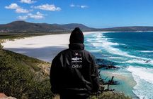 Cape of Good Hope, Cape Point & Penguins Private Morning Tour