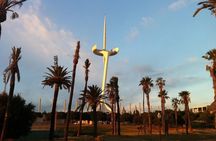 Fundació Joan Miró Ticket and Montjuïc Park Audio Walk