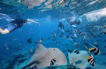 Maldives: Swim with Stingrays & Explore 3 Unique Snorkeling Sites