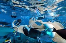 Maldives: Swim with Stingrays & Explore 3 Unique Snorkeling Sites
