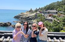 Happy^^ Private Busan Tour (4Hours~8Hours) for Cruise Travelers