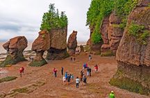 Hopewell Rocks Express Tour from Moncton