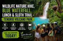 Wildlife Nature Hike, Blue Waterfall, Lunch & Sloth Trail - Tenorio Volcano Park