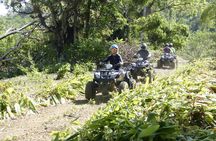 Bambuza ATV, Zipline and Horseback Adventure from Negril