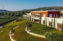 Wine Tasting and Vineyard Tour in Urla (Transfer Optional)