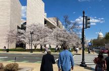 Interactive DC Art Discover Stories Behind the Masterpieces Tour