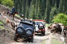Kyrgyzstan 7-Days: Issyk Kul, Song Kul, Ala kul & Altyn Arashan