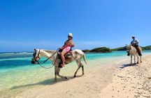 Roatán Ultimate Adventure: ATV, Horseback Riding & Canopy