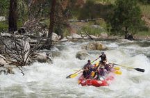 Whitewater Rafting Day Trip on the Salmon River