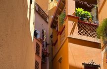 Central Mexico History Culture and Culinary Delights for 8 Days