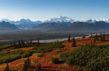 Denali Wilderness Hike