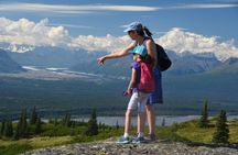 Denali Wilderness Hike