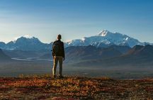 Denali Wilderness Hike