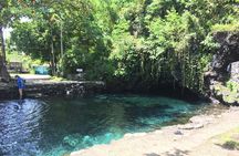 Apia Samoa : Full Day, Cruise Ship Excursion