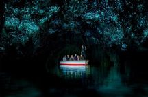 Hobbiton and Waitomo Glowworm Caves Tour with Lunch from Auckland