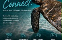 Hawaiian Sea Turtle & Reef Snorkel