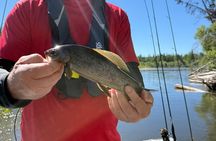 Guided Fishing Adventure On The Chena River By Boat