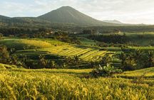 Jatiluwih UNESCO Rice Terrace with Monkey Forest and Bali Swing