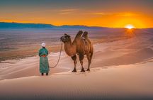 Private 2 day Semi-Gobi Desert & Khustai National Park Tour