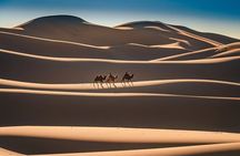 Private 2 day Semi-Gobi Desert & Khustai National Park Tour