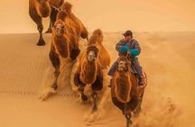 Private 2 day Semi-Gobi Desert & Khustai National Park Tour