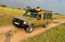 3 days Murchison Falls, Boat cruise and wildlife game view tour