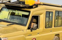 Affordable 2 days Murchison Falls and Wildlife Game Viewing