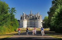 Private Half-Day Chambord Castle Tour from Tours France