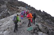 5-Day Mount Kilimanjaro Climb via Marangu Route