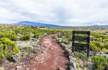 5-Day Mount Kilimanjaro Climb via Marangu Route