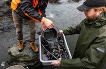 Canadian Mussel Boil at the Ecological Reserve