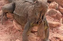 agadir crocoparc tickets with pick-up and return transfer All-Inclusive