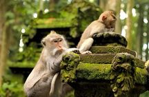 Jatiluwih UNESCO Rice Terrace with Monkey Forest and Bali Swing