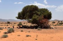 Agadir Jeep safari 4x4 Desert Adventures with Lunch