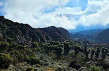 Mount Kilimanjaro 9 Day Lemosho Route Private Trek