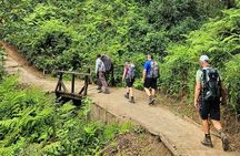 Mount Kilimanjaro 9 Day Lemosho Route Private Trek