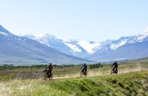 Dalvik Private E MTB Tour