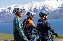 Dalvik Private E MTB Tour